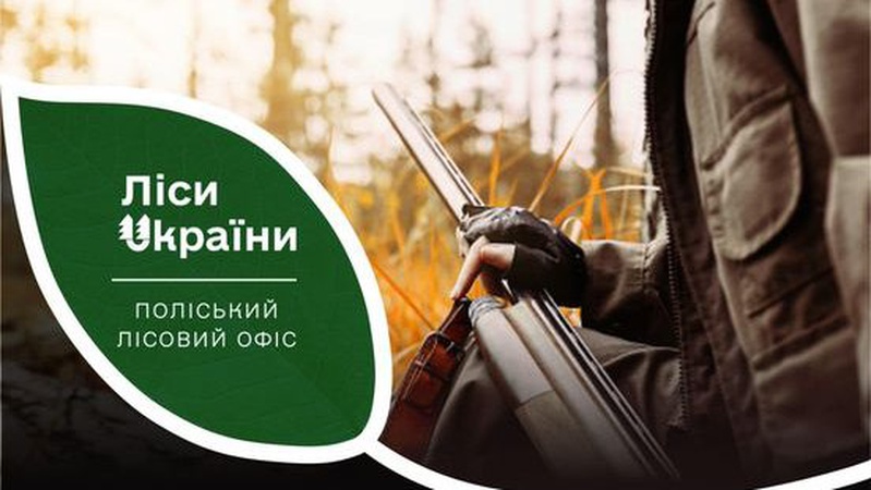 Куля пройшла наскрізь: червонокнижного зубра, знайденого мервим у лісі на Волині, застрелили