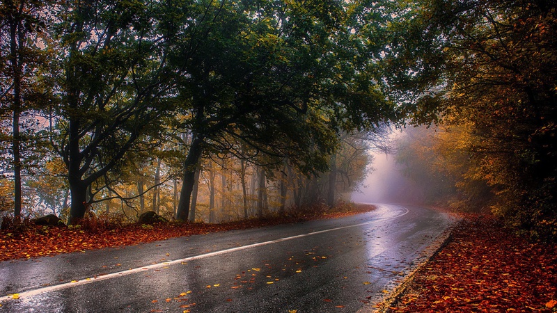 Яка погода очікується завтра, 2 листопада