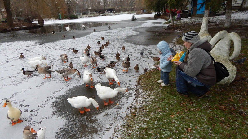 Як перезимував Луцький зоопарк і чому здорожчає квиток