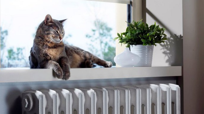 Тиждень централізованого опалення в Луцьку