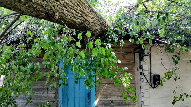 Через бурю на будинок волинянина впало дерево