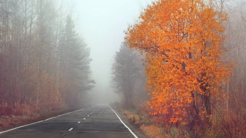 Туман, місцями дощитиме: прогноз погоди на 24 жовтня
