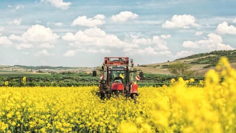 Луцьку громаду попереджають про обробку полів засобами захисту рослин