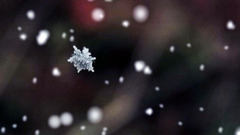 Яка погода очікується завтра, 8 грудня