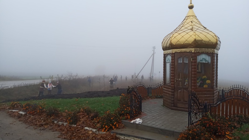 У селі на Волині невідомі викопали деревця з молодого саду