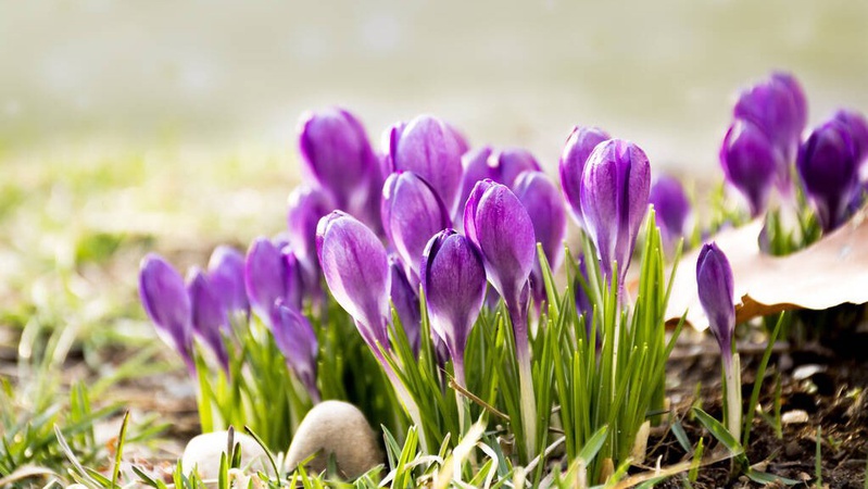 Коли в Україні потеплішає до +17: прогноз синоптика