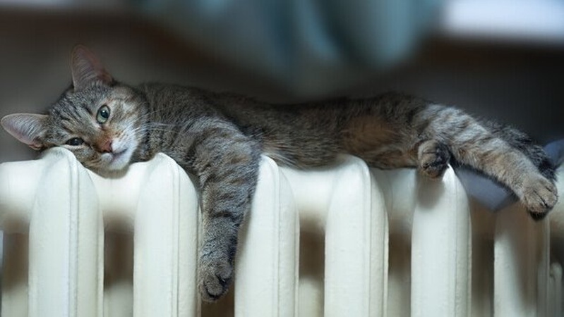 Опалення у Луцьку поки не вимикатимуть