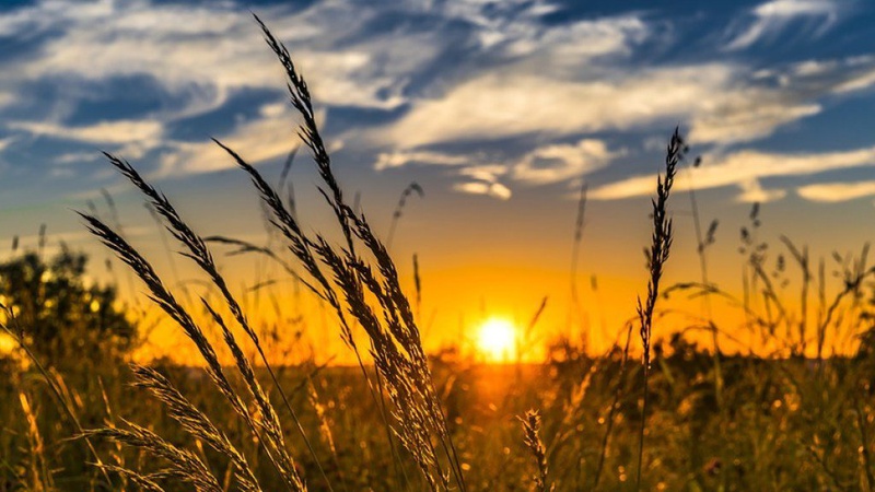 Сухо і спекотно: прогноз погоди на 13 серпня