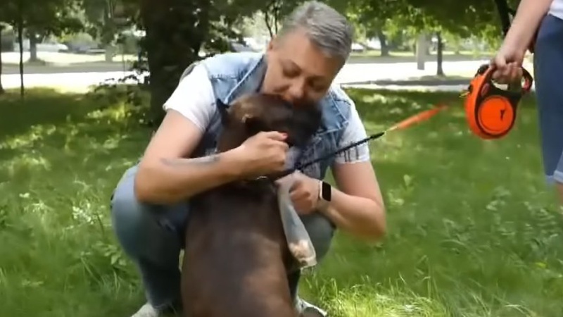 Повернула улюбленицю сина: мама полоненого лучанина розповіла, як шукала собаку в окуповану Маріуполі