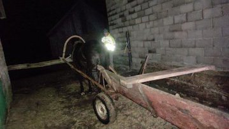 На Волині чоловік вкрав в односельця коня з возом