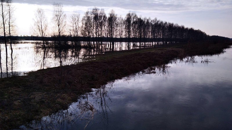 На Волині у воді – понад шість тисяч гектарів угідь та присадибних ділянок. ФОТО