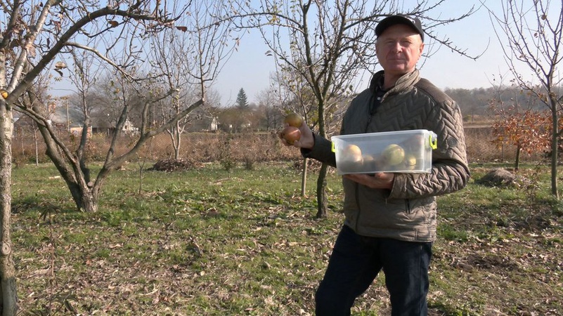 Волинянин 40 років вирощує фрукти і ягоди