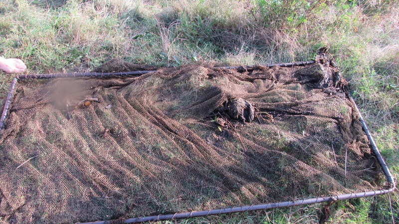 У громаді на Волині браконьєри виловили риби на майже 20 тисяч гривень