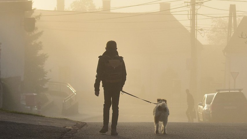 Місцями туман, без опадів: прогноз погоди на 29 лютого