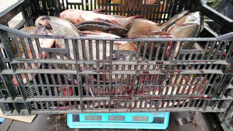 На Волині зафіксували 14 порушень рибальства за тиждень