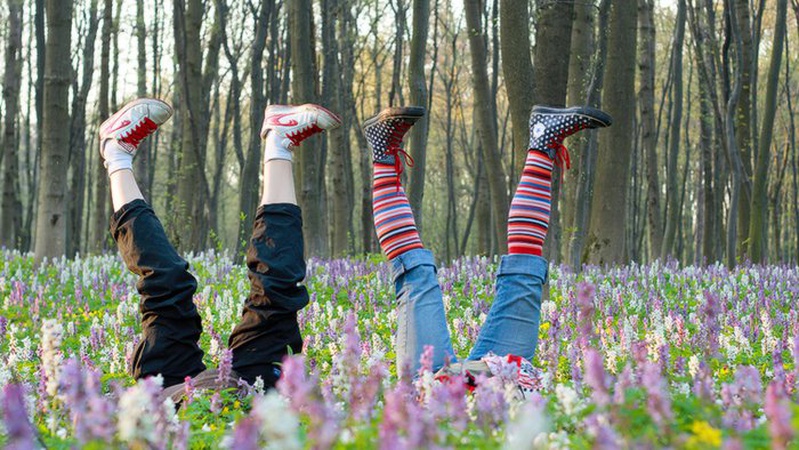 Коли у школах Луцька стартують весняні канікули