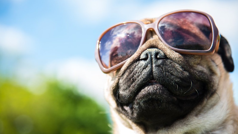 Сухо та спекотно: прогноз погоди на 15 серпня