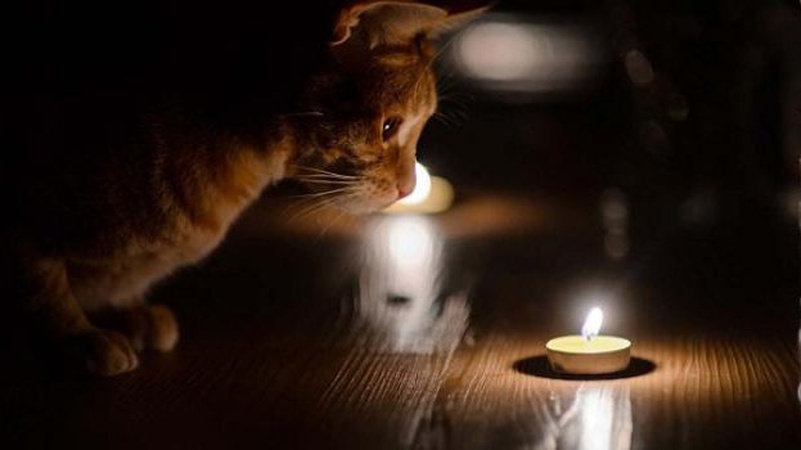 У громаді на Волині завтра, 29 вересня, відключать світло. АДРЕСИ