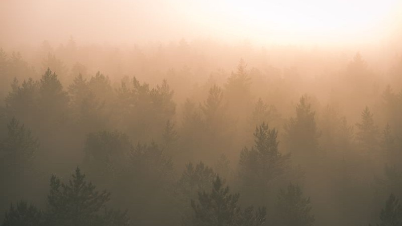 На вихідних Україну накриє аномальна погода: синоптик вразив прогнозом