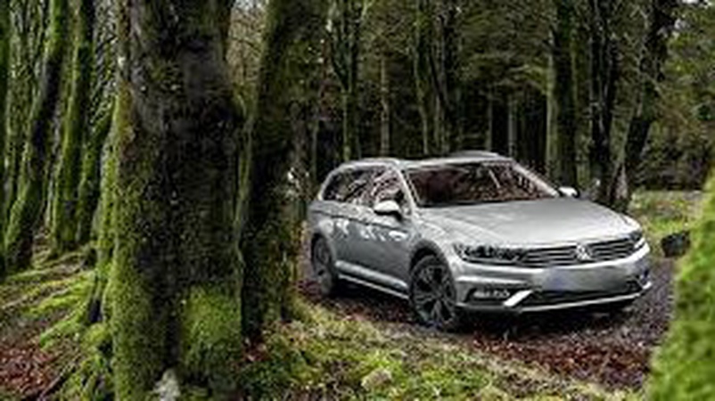 П’яний волинянин натрапив у лісі на Volkswagen і викрав його