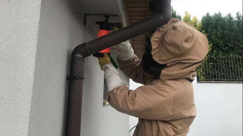 На Волині рятувальники ліквідували три гнізда небезпечних комах. ФОТО