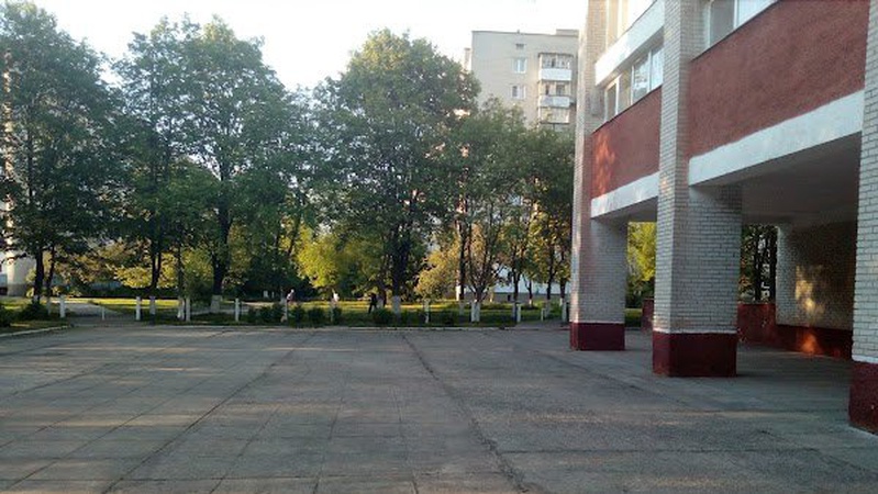 У Луцьку стежки до школи заросли чагарниками