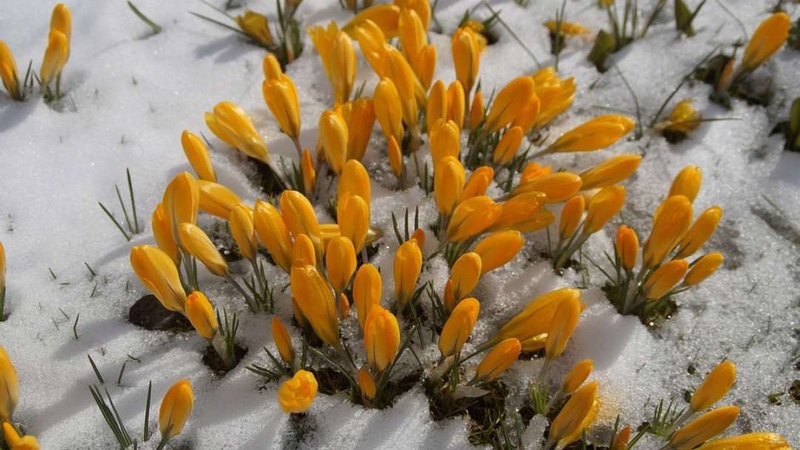 Весна вступає у свої права: прогноз погоди на 9 березня