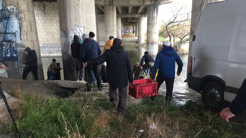 У річку Стир у Луцьку випустили майже 900 кілограмів риби. ФОТО