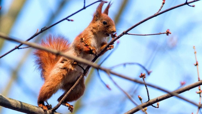 В Україну мчить тепло з Сахари: погода буде, як весною - народний синоптик