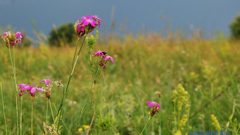 У неділю Україні прогнозують дощі і грози, вдень до +30°