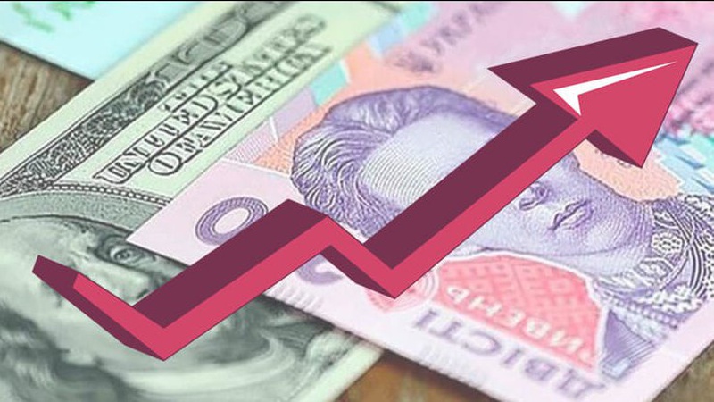 Рішення НБУ про зміну курсу гривні було виправданим та вимушеним, — Віталій Ваврищук