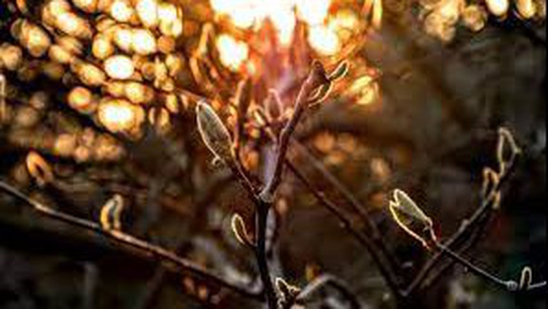 Вітряно і тепло: яку погоду на Волині прогнозують на вікенд і початок тижня