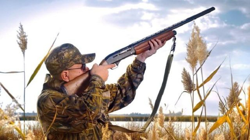 На Волині розпочинається сезон полювання на пернату дичину