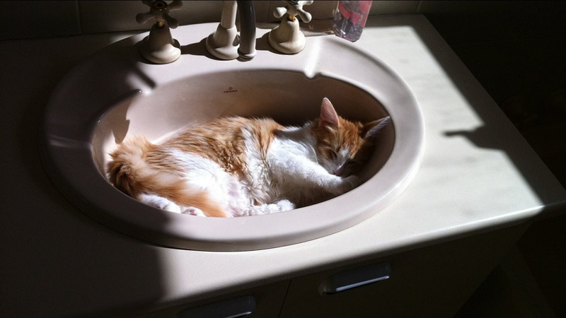 У центрі Луцька тимчасово вимкнуть постачання води