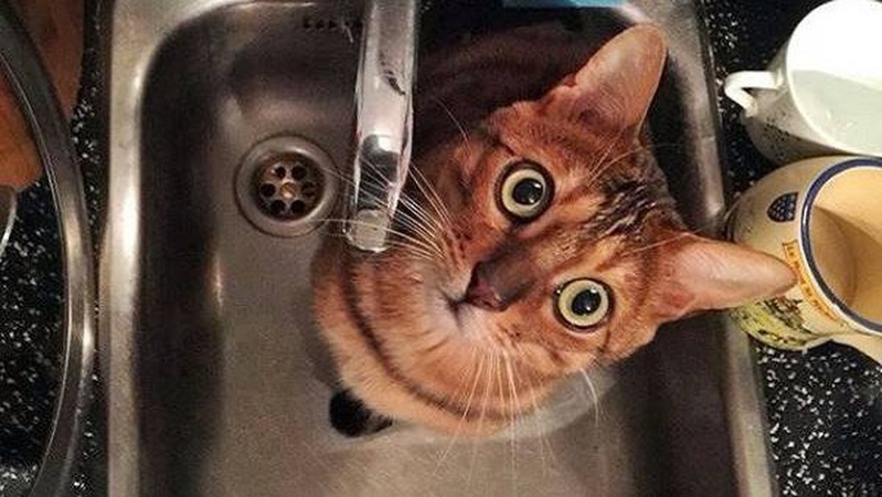 Мешканців двох будинків Нововолинська просять зробити запаси води