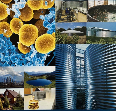 Рівень шкідливих речовин у стічних водах луцьких багатоповерхівок критично перевищує допустимі норми