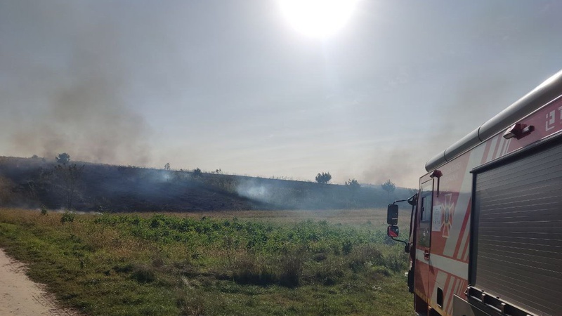 У Луцькому районі горіло пів гектара поля