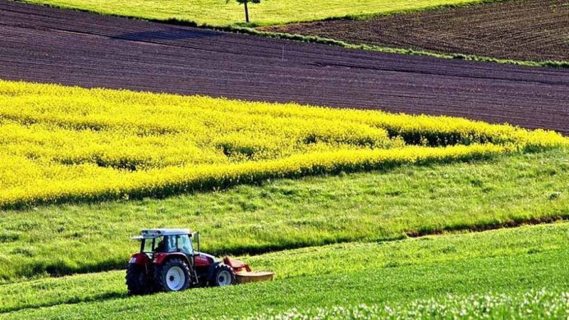 На Волині орендар повернув громаді земельну ділянку вартістю 15 млн гривень