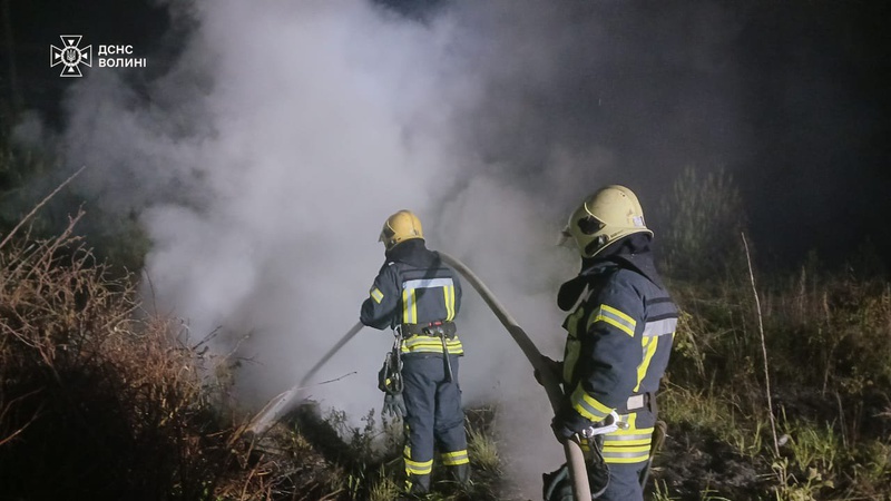 У Луцьку вночі горіла суха трава та чагарники