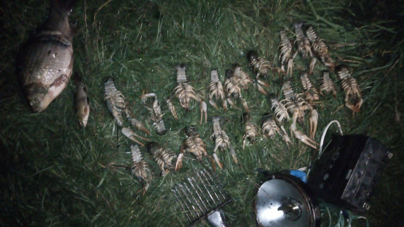 У Любешівській громаді піймали чоловіка, який ловив раків під час заборони