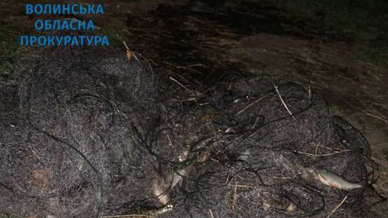 На Волині браконьєр заплатить майже мільйон гривень за впійману рибу