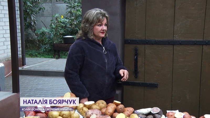Волинянка вирощує на городі екзотичну картоплю