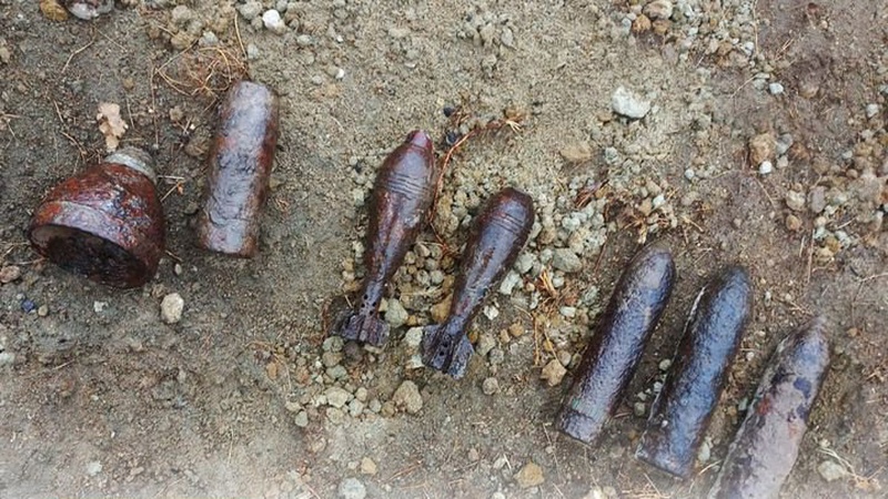 На Волині сапери ДСНС знешкодили 7 боєприпасів часів минулих воєн