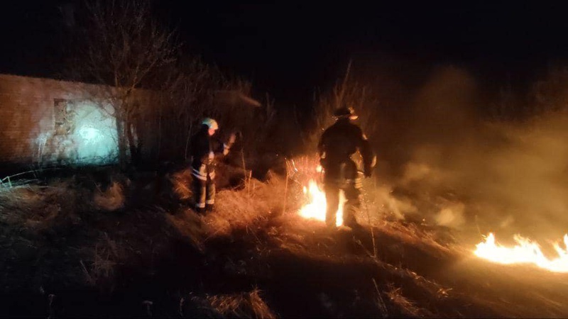 На Волині через займання трави ледь не згорів дачний масив