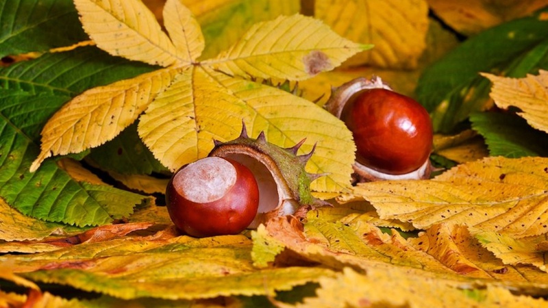 Хмарно з проясненнями: прогноз погоди на 7 жовтня