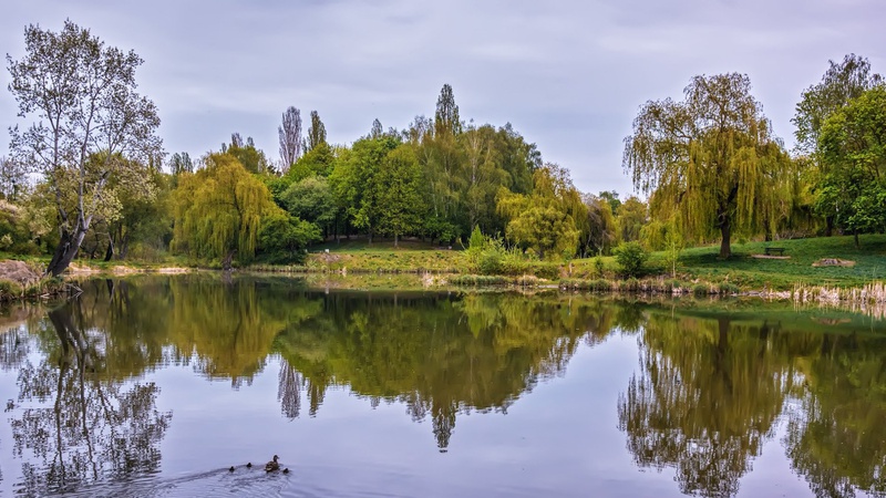 У луцькому парку 900-річчя посилено патрулюватимуть нацгвардійці