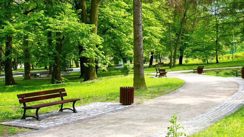 Лучанка пропонує  створити сквер у спальному районі