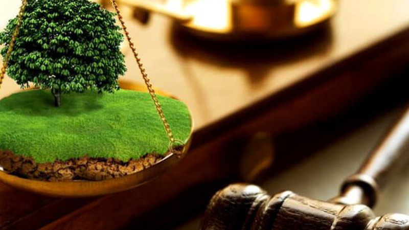 На Волині суд змусив орендаря повернути державі землю вартістю 11 млн грн