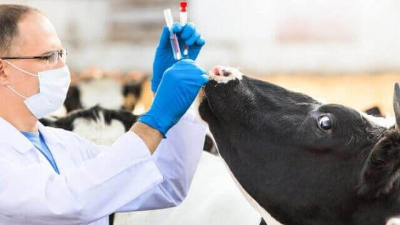 На Волині продовжили карантин через сказ