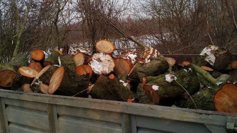 У Луцькому районі спіймали чоловіків, які незаконно нарізали машину дров
